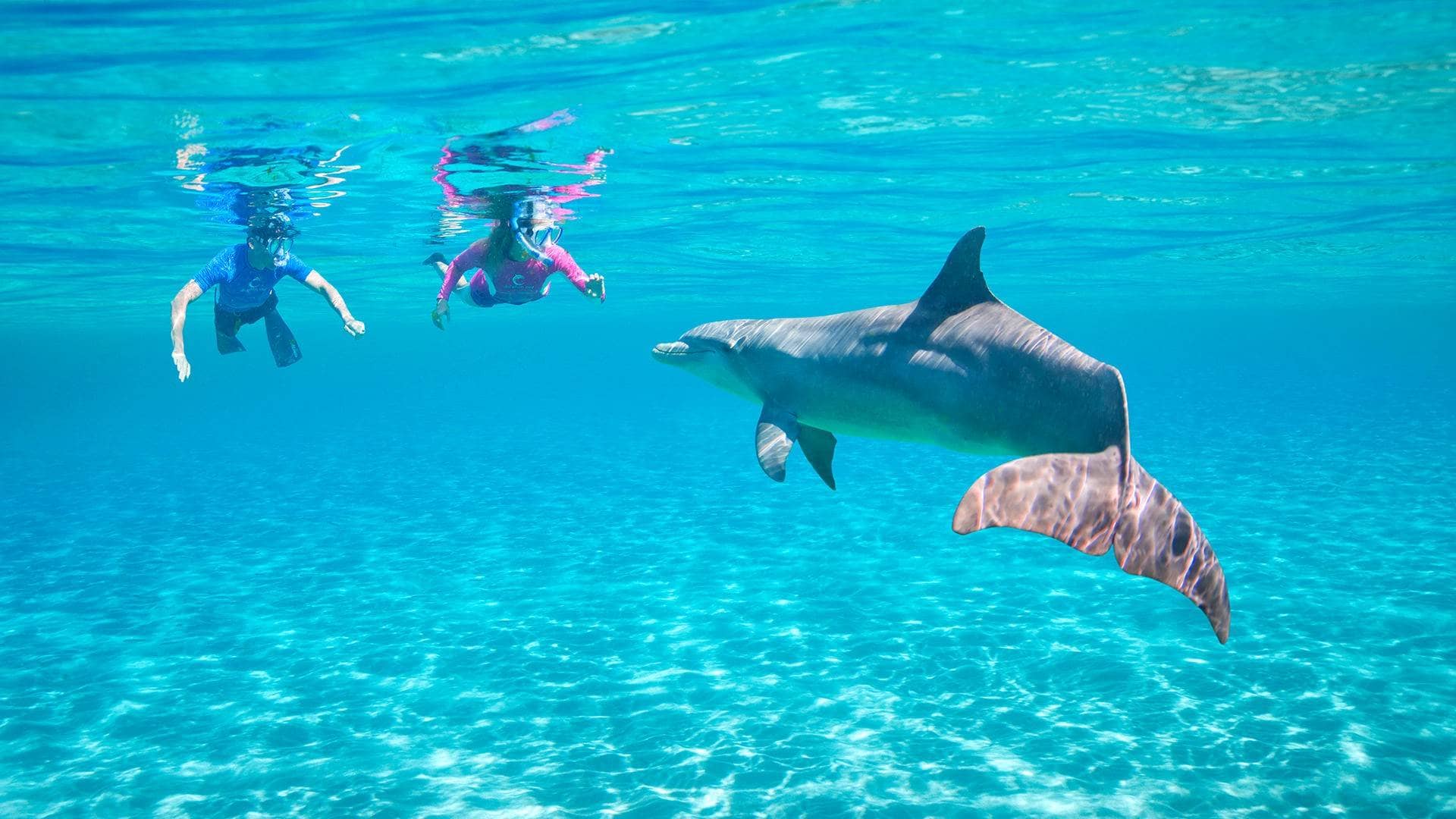 Red Sea