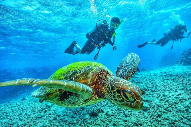 Red Sea